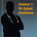 Addressing Pennsylvania's Opioid Crisis-Guide 15250036